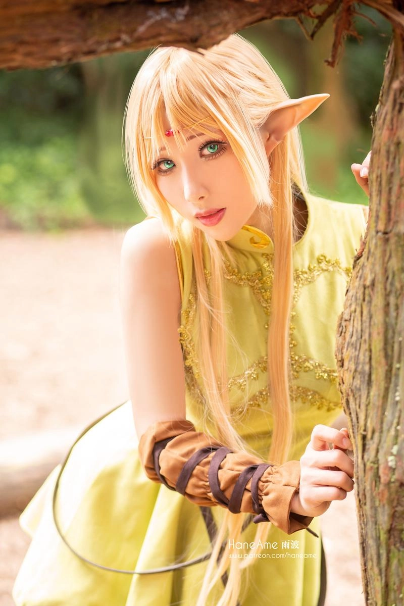 NO.056 Record of lodoss Deedlit - 2预览