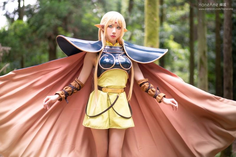 NO.056 Record of lodoss Deedlit - 3预览