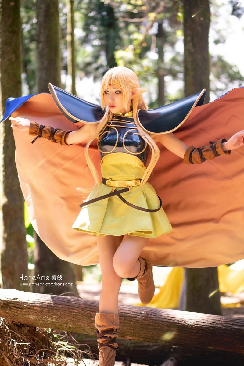 NO.056 Record of lodoss Deedlit - 4预览