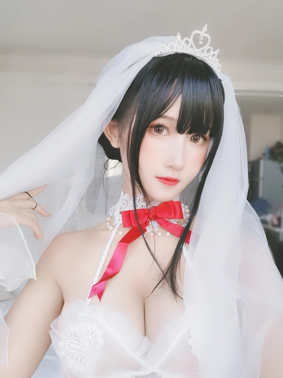 NO.058 婚纱孔雀翎 - 1预览
