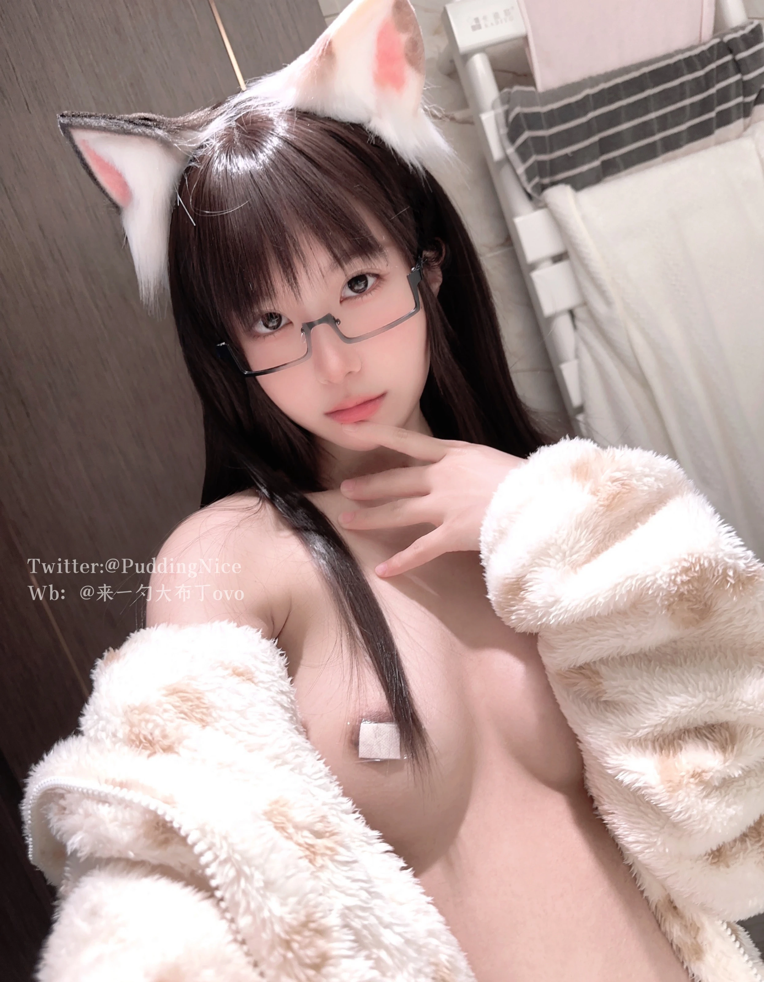 NO.049 VII 芝士猫 - 4预览